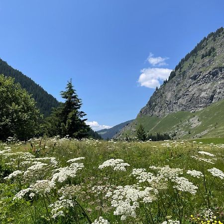 T2 Vue Sur Le Parc De La Vanoise La Plagne Exterior photo