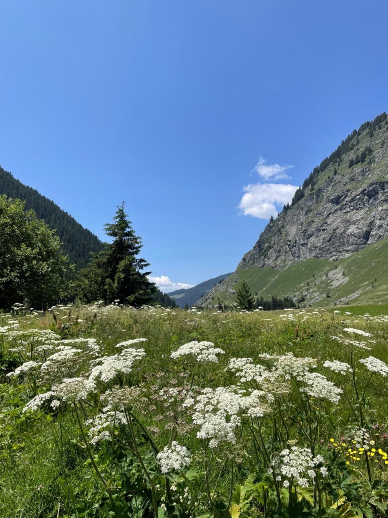 T2 Vue Sur Le Parc De La Vanoise La Plagne Exterior photo